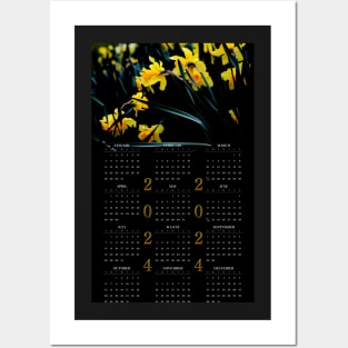 Daffodil Blooms • 2024 Year-at-a-glance Calendar Posters and Art